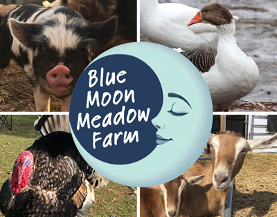 Blue Moon Meadow Farm